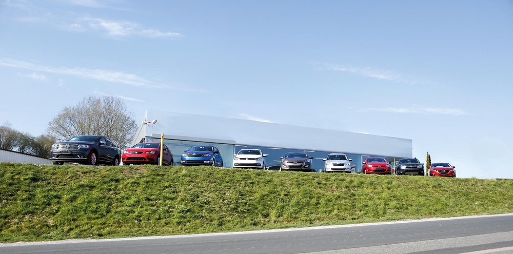 Mehrere Pkws auf einer grünen Wiese.